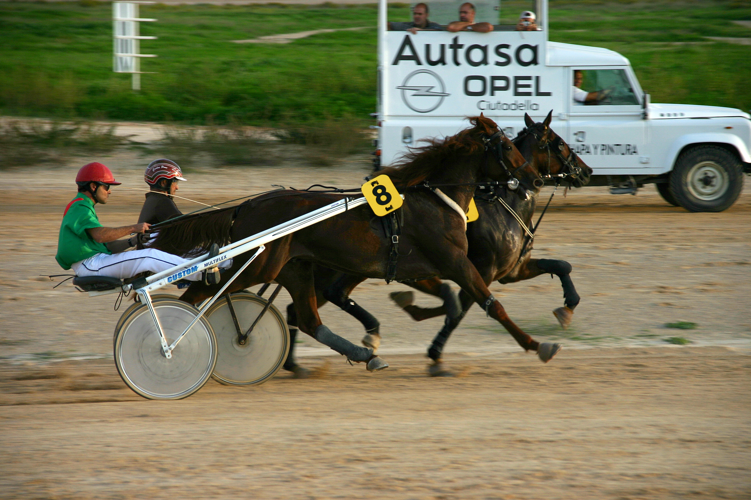 trotting race in menorca