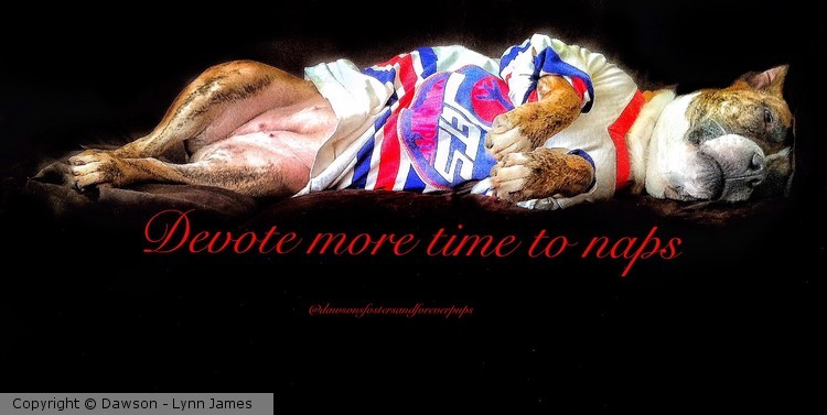 Devote more time to naps