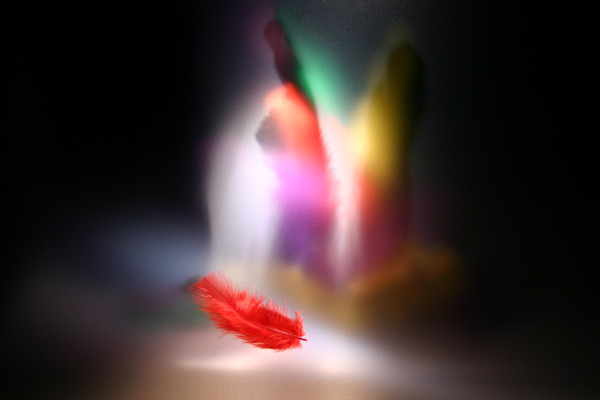 feather