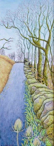 Cumbrian Mossy Wall