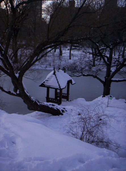 An Icy Oasis of Peace