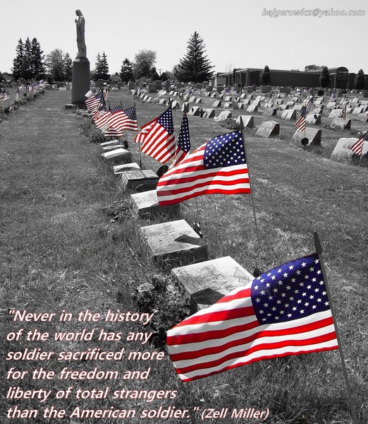Veterans Day in a Cemetery