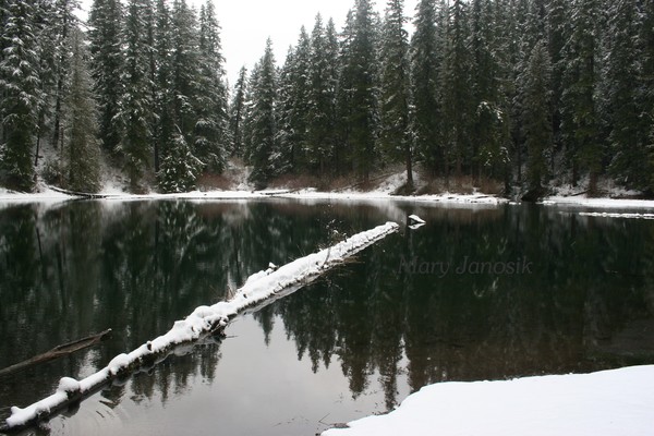 Lunch Spot at Greenwater Lake #1