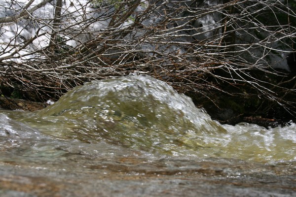 Water Fountain