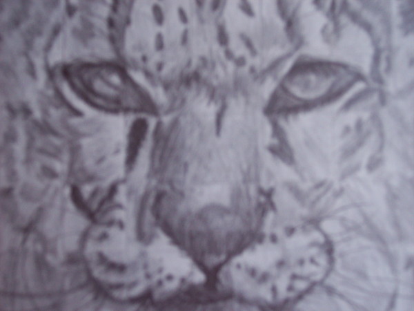 Meow