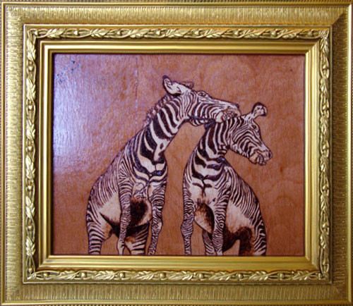 Zebra(2)