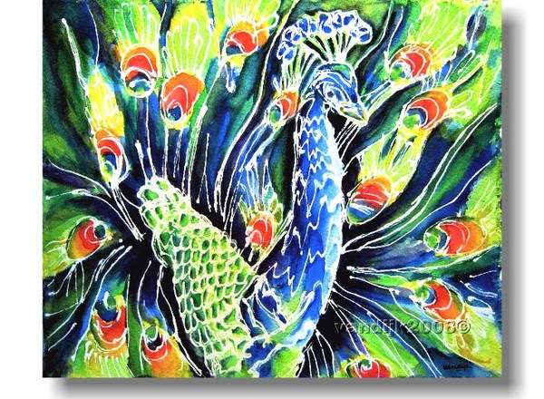 PEACOCK©