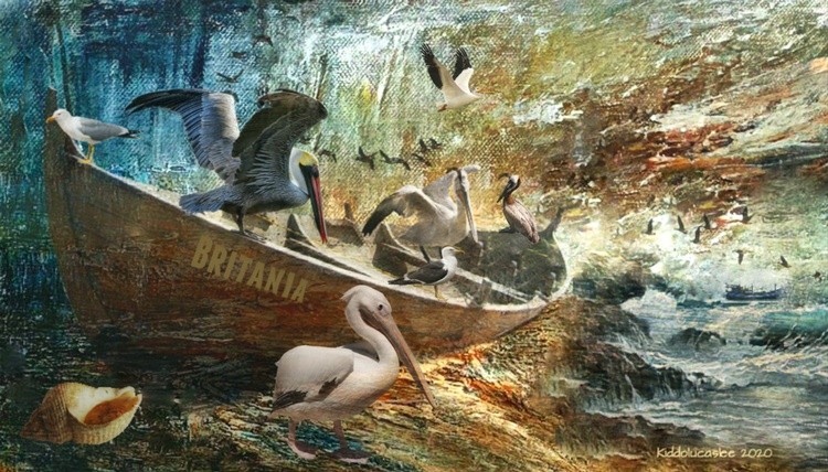 Britania-Boat of Birds *2020 Kiddolucaslee 