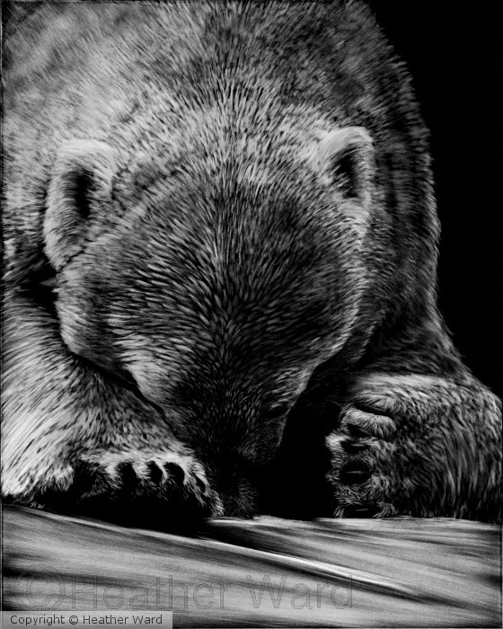 Un-Bearable
