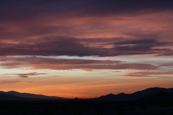 Evening Light