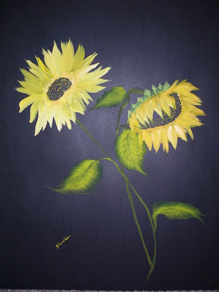 Sunflowers