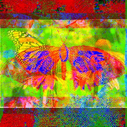 Collage Butterfly 12