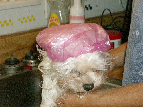 Rosy Bath Time