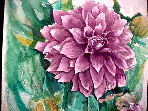 Dahlia