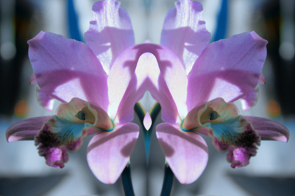 Centered in Blue