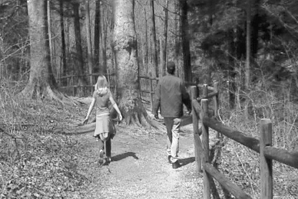 A Walk in the Park