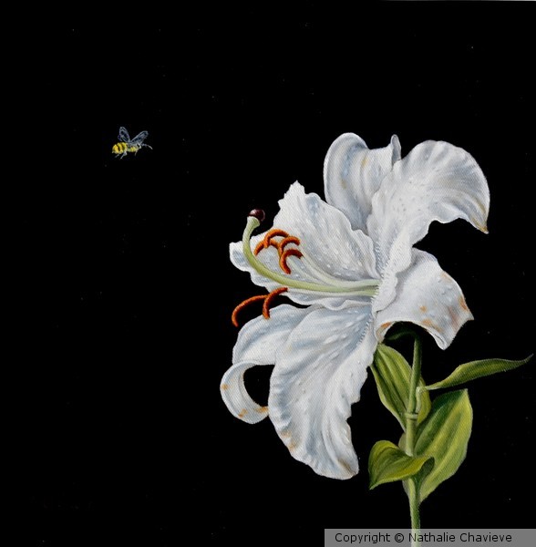 Nature's Love