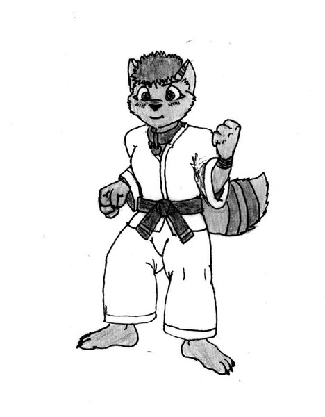 ti-qwon-do fox
