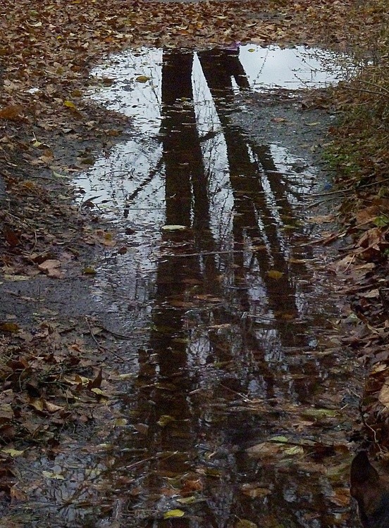 apres nous....