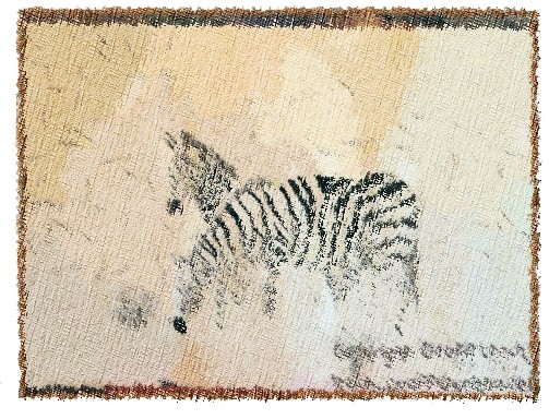 Zebras