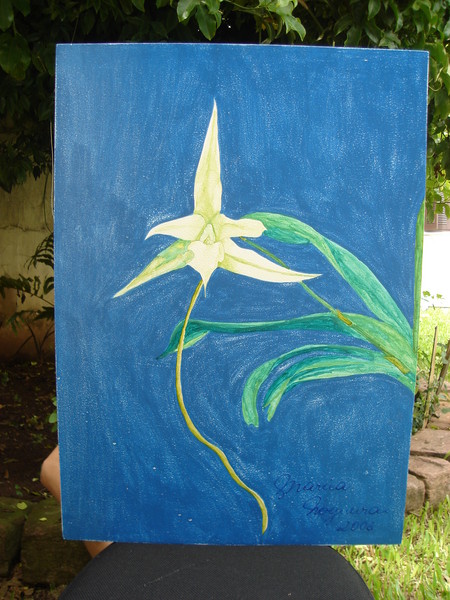 Orquídea Branca