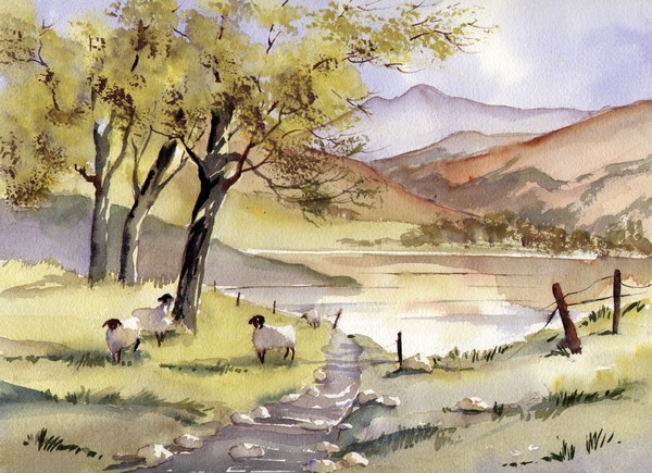 SHEEP AT LOUGHRIGG TARN