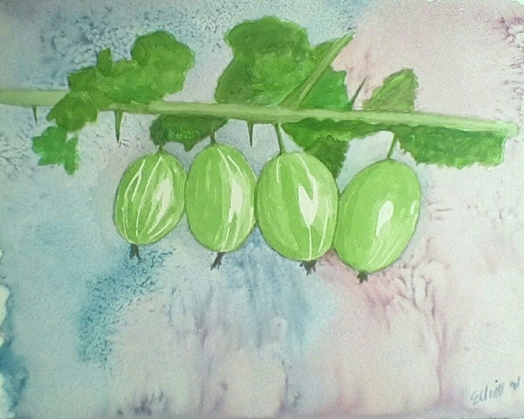 Gooseberries