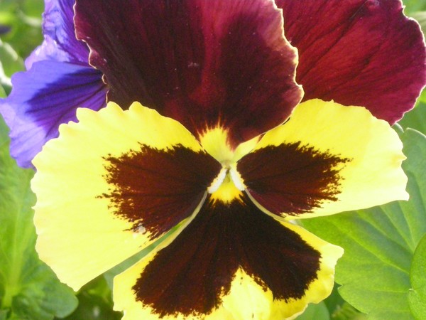 Colors Loud and Soft