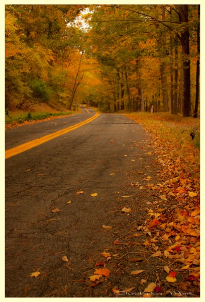 Fall road