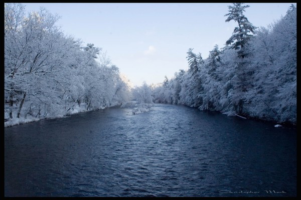 Winter wonderland