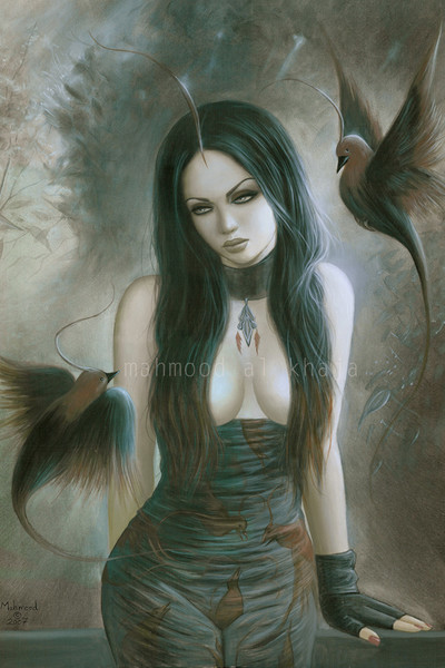 IN THE DARK FOREST
