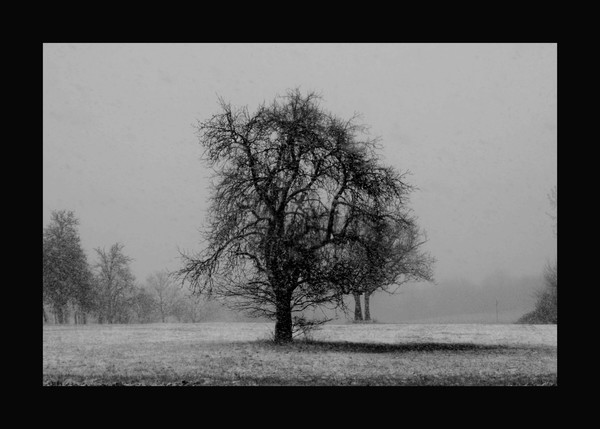 Let it snow... 