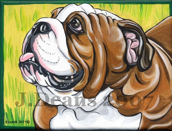 Bulldog