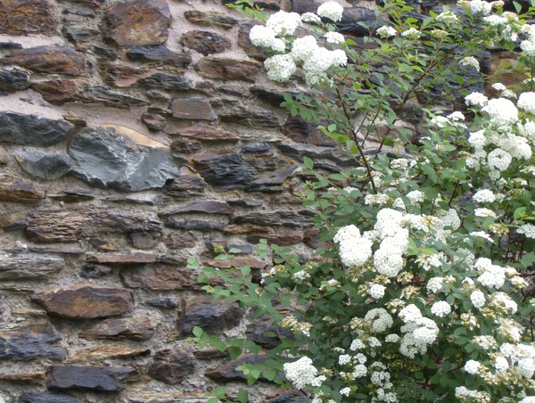 Old Wall