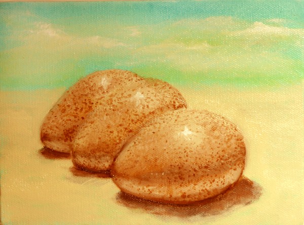 TROPICAL TURKEY EGGS