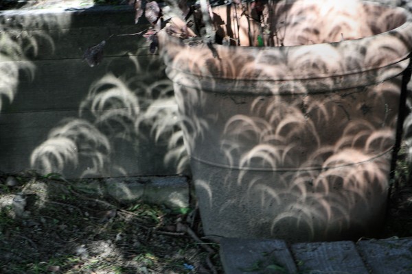Eclipse Light Shadows 1