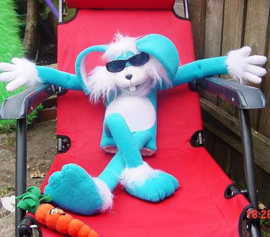 Sydney the Rabbit