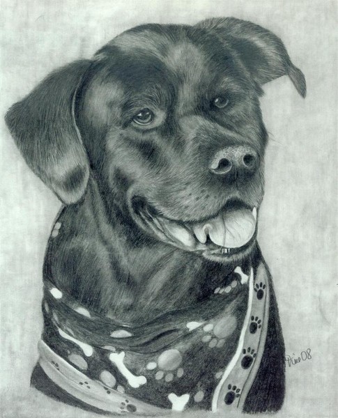 Jake in Graphite