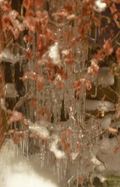 Chandalier 
