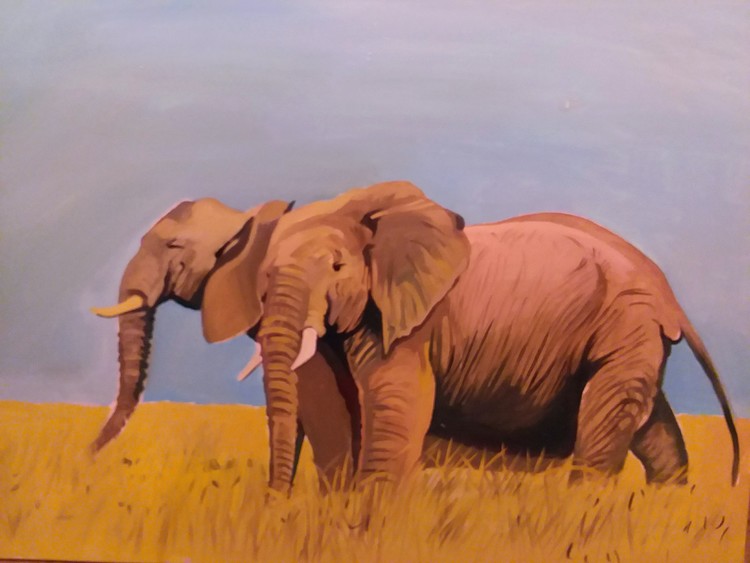 PACHYDERM