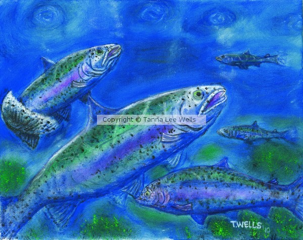 Rainbow Trout Swimming