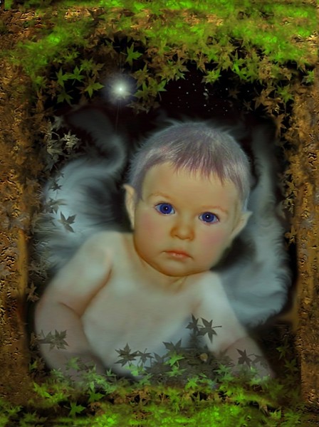 Fairy Child