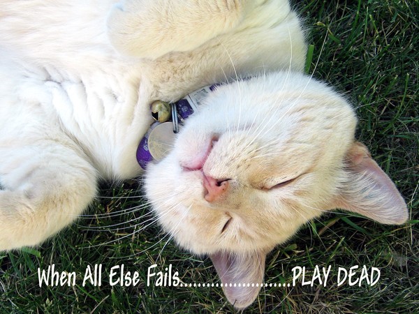 When All Else Fails.....