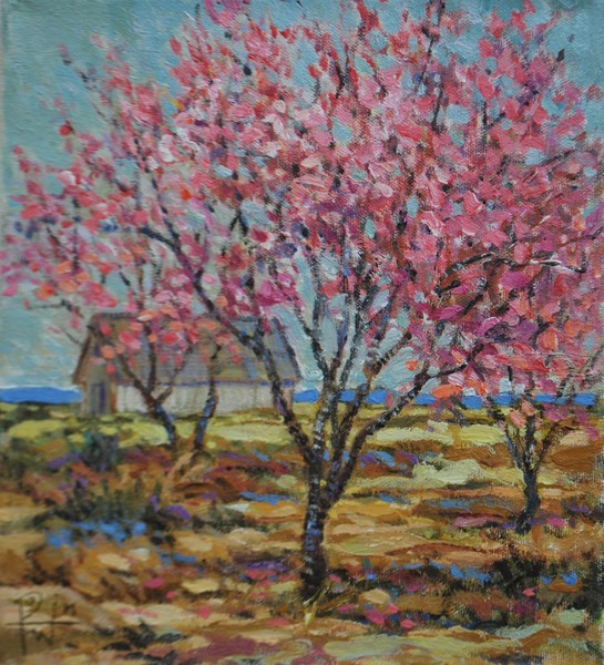 Redbud Study