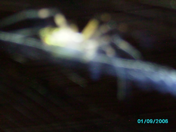 web