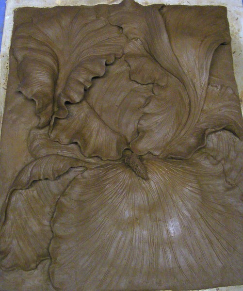 Work in Progress-Iris