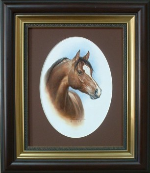 Stallion