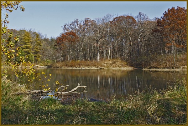 WILDERNESS POND
