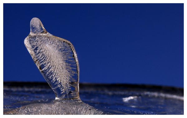 Ice figure