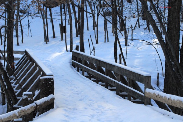 Winter's Last 